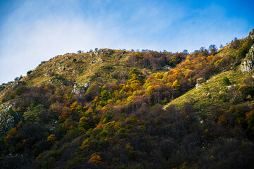 Autumn magic in the Julian Alps. Resia Valley, the woods on the border between Italy and Slovenia.