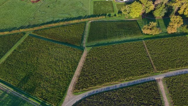 1-Braire_Ducru_Rushs_FPV_4K