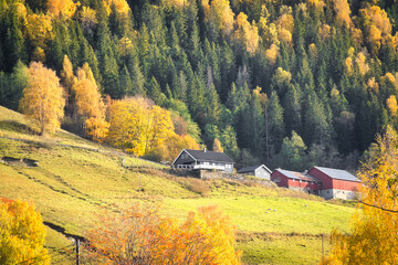 Autumn landscape with colorful trees and farmhouse on sunny meadow in Norway.