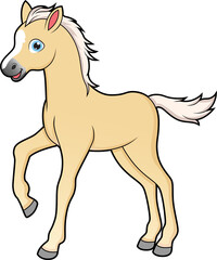 Cute walking foal horse