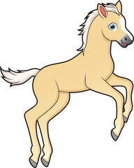 Fototapeta premium Cute jumping foal horse