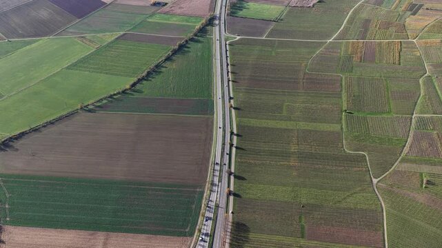 Aerial view of the patchwork quilt of agricultural fields bisected by a straight road, with trees casting shadows, Rouffach, Grand Est, France.