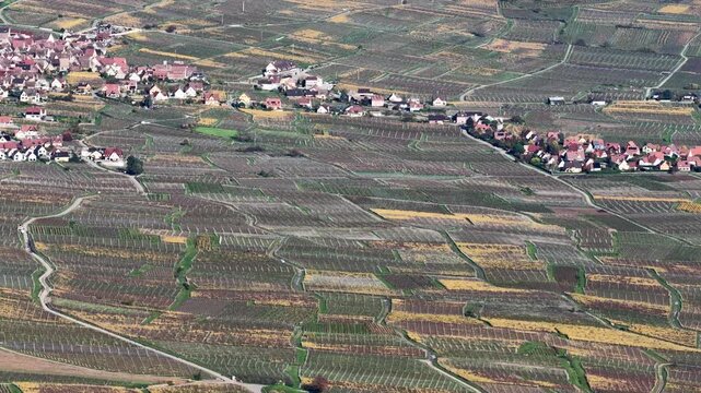 Aerial view of a village surrounded by vineyards, showcasing a beautiful pattern of agriculture, Rouffach, Grand Est, France.
