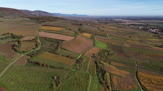 Aerial view of colorful vineyards contrasting with the green landscape and mountains in the distance, Rouffach, Grand Est, France.