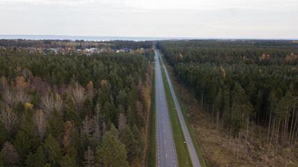 aero view to autumn road