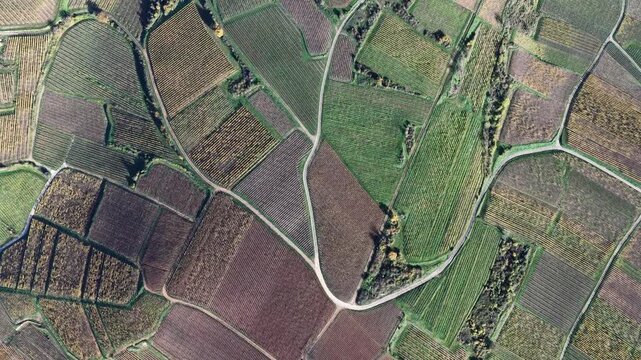 Aerial view of a patchwork of agricultural fields showing a variety of colors and textures, divided by pathways, Rouffach, Grand Est, France.
