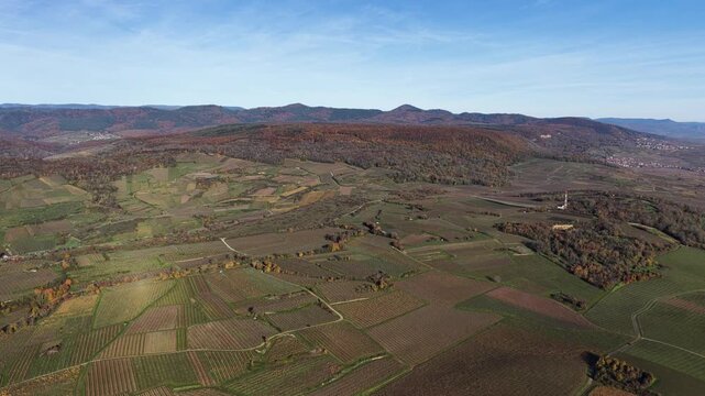 Aerial view of vineyards in autumn colors contrasting with distant mountains under a blue sky, Rouffach, Grand Est, France.