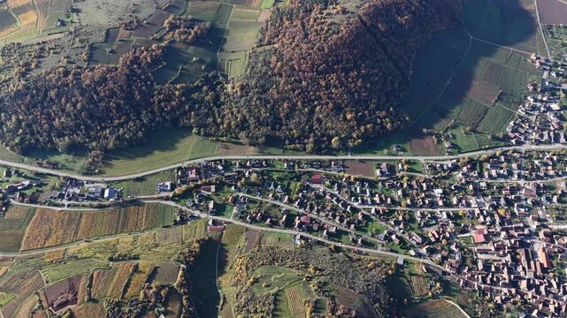 Aerial view of the town bisected by roads, nestled between vineyards and a dark forest, showcasing the area's diverse textures, Rouffach, Grand Est, France.