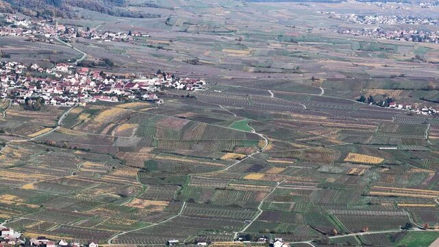 Aerial view of the patchwork vineyards and quaint villages dotting the landscape in autumn, creating a tapestry of earthy tones, Rouffach, Grand Est, France.