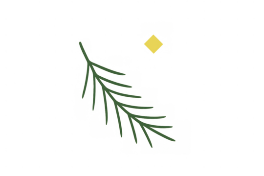 Pine branch with star adding minimalist christmas spirit, simple flat illustration with transparent background