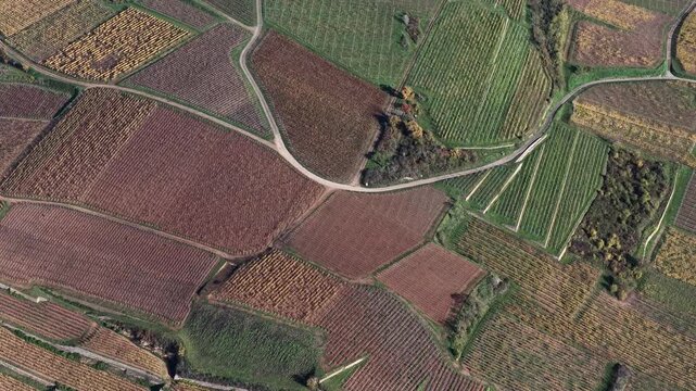 Aerial view of vineyards displaying diverse colors, textures, and patterns, segmented by winding roads that create a captivating landscape, Rouffach, Grand Est, France.