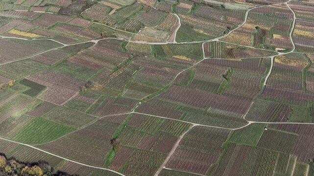 Aerial view of the agricultural fields, displaying a patchwork of earthy tones and textures, divided by pale pathways, Rouffach, Grand Est, France.