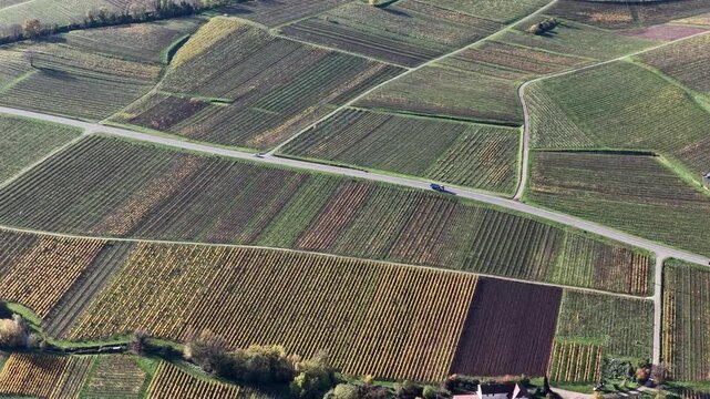 Aerial view of vineyards in autumn, showcasing a patchwork of colors divided by roads, creating a textured landscape, Rouffach, Grand Est, France.