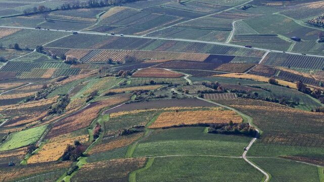 Aerial view of vineyards displaying a patchwork of autumnal colors alongside roads cutting through the landscape, Rouffach, Grand Est, France.