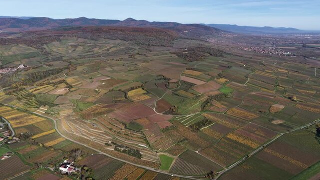 Aerial view of the scenic vineyards, creating a tapestry of autumnal colors against the backdrop of distant mountains, Rouffach, Grand Est, France.