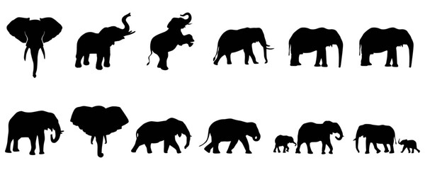 Set of elephant animal silhouettes, elephant silhouettes