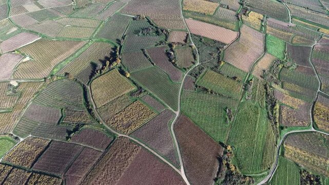 Aerial view of agricultural fields displaying a patchwork of textures and colors, with winding pathways cutting through the landscape, Rouffach, Grand Est, France.