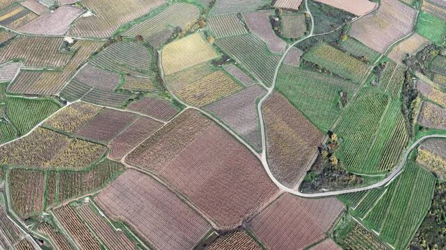 Aerial view of a patchwork of vineyards with diverse colors and textures, crisscrossed by roads, creating a scenic landscape, Rouffach, Grand Est, France.