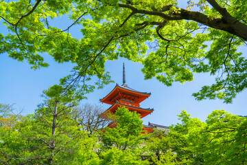 京都　清水寺の三重塔と新緑