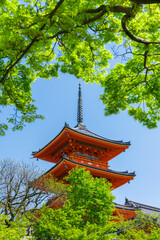 京都　清水寺の三重塔と新緑