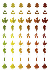 Autumn leaves in yellow, orange, green and red colors icon set. Leaf objects. Fall season decoration. Elements for thanksgiving.