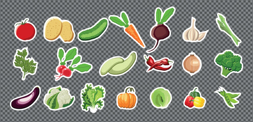 A big hand drawn set of vegetables on transparent background. Potato, Tomato, Cucumber, carrot, Chili Pepper and other