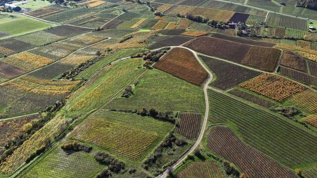 Aerial view of neatly arranged vineyards and agricultural fields displaying a patchwork of textures and autumnal colors, Rouffach, Grand Est, France.