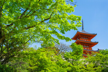 京都　清水寺の三重塔と新緑