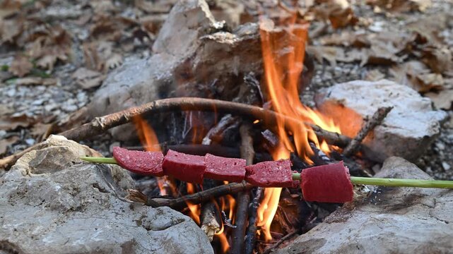 Cooking traditional Turkish sucuk slices (fermented sausage) over a campfire in nature. Preparing a delicious meal outdoors and the camping concept.