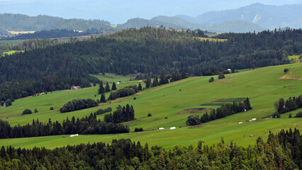 Obraz premium Mountain landscape with hills, fields and trees. Podhale, Poland