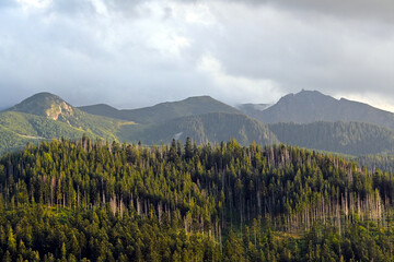 The peaks of High Tatra moutains. Beautiful, scenic view from Cyrhla village near Zakopane, Poland. Summer evening © PaulSat