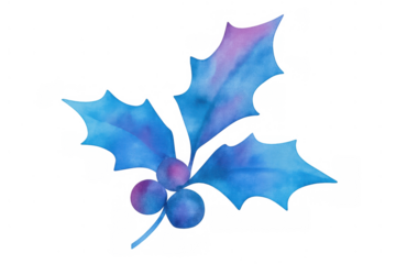 Holly plant watercolor illustration with blue and purple leaves and berries, winter christmas holiday concept art