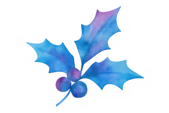 Holly plant watercolor illustration with blue and purple leaves and berries, winter christmas holiday concept art