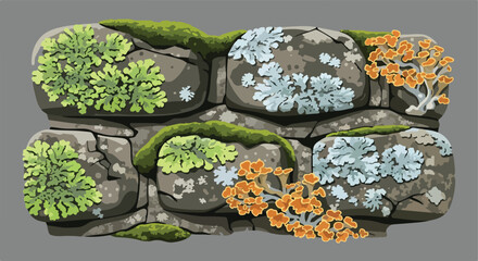 Stone wall illustration with flora