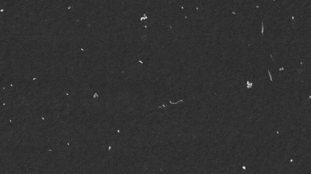 Abstract distressed speckles and stains stop motion. Grunge black and white background animation for film noise template, rough texture, or grungy effect illustration.