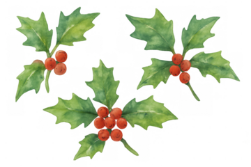 Holly sprigs bringing festive cheer, watercolor christmas plant elements with green leaves and red berries on transparent background
