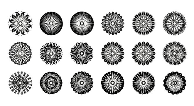 Assortment of intricately designed black and white floral pattern graphics showcasing diverse