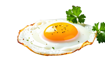 Fried egg breakfast food sunny side up egg yolk protein healthy eating delicious meal 