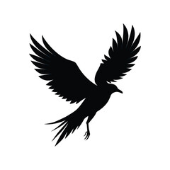 flying eagle silhouette vector illustration