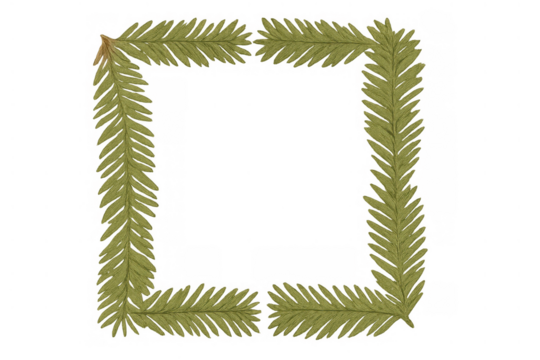 Pine tree branch square frame creating a festive border, evergreen foliage background for celebratory occasions