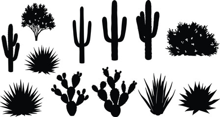 Desert plant silhouette collection, cactus and agave vector set, arid flora illustration, botanical artwork, dry landscape design, cad drawing flat vector illustration