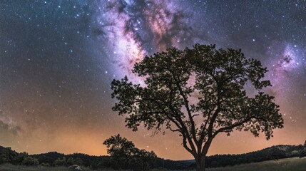 Silhouetted tree stands under the vibrant, swirling Milky Way galaxy