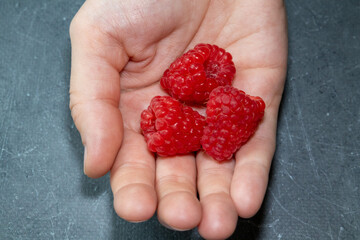 Hand holding three fresh raspberries on a dark background. Natural light, close-up view of red berries in palm, symbol of healthy lifestyle and organic food.