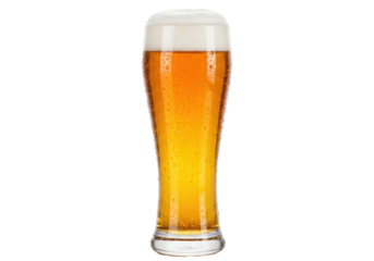 Refreshing wheat beer in a tall glass isolated, golden color beer with foam head and condensation drops on glass