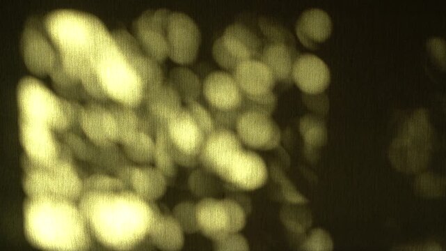 Abstract motion background of light patterns filtering through leaves on green.