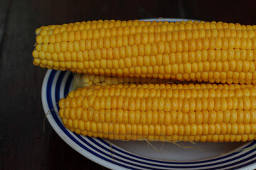 Close-up of two cooked corn cobs on a blue-and-white striped plate against a dark background. Fresh food concept, healthy eating, and summer meal idea.