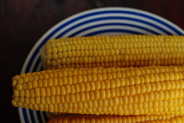 Close-up of two cooked corn cobs on a blue-and-white striped plate against a dark background. Fresh...