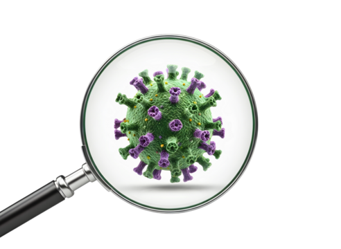 Coronavirus particle seen through a magnifying glass isolated on transparent background