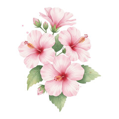 Watercolor Pink Hibiscus Bouquet, Botanical 
