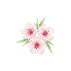 Watercolor Pink Bouquet, Botanical Clipart PNG